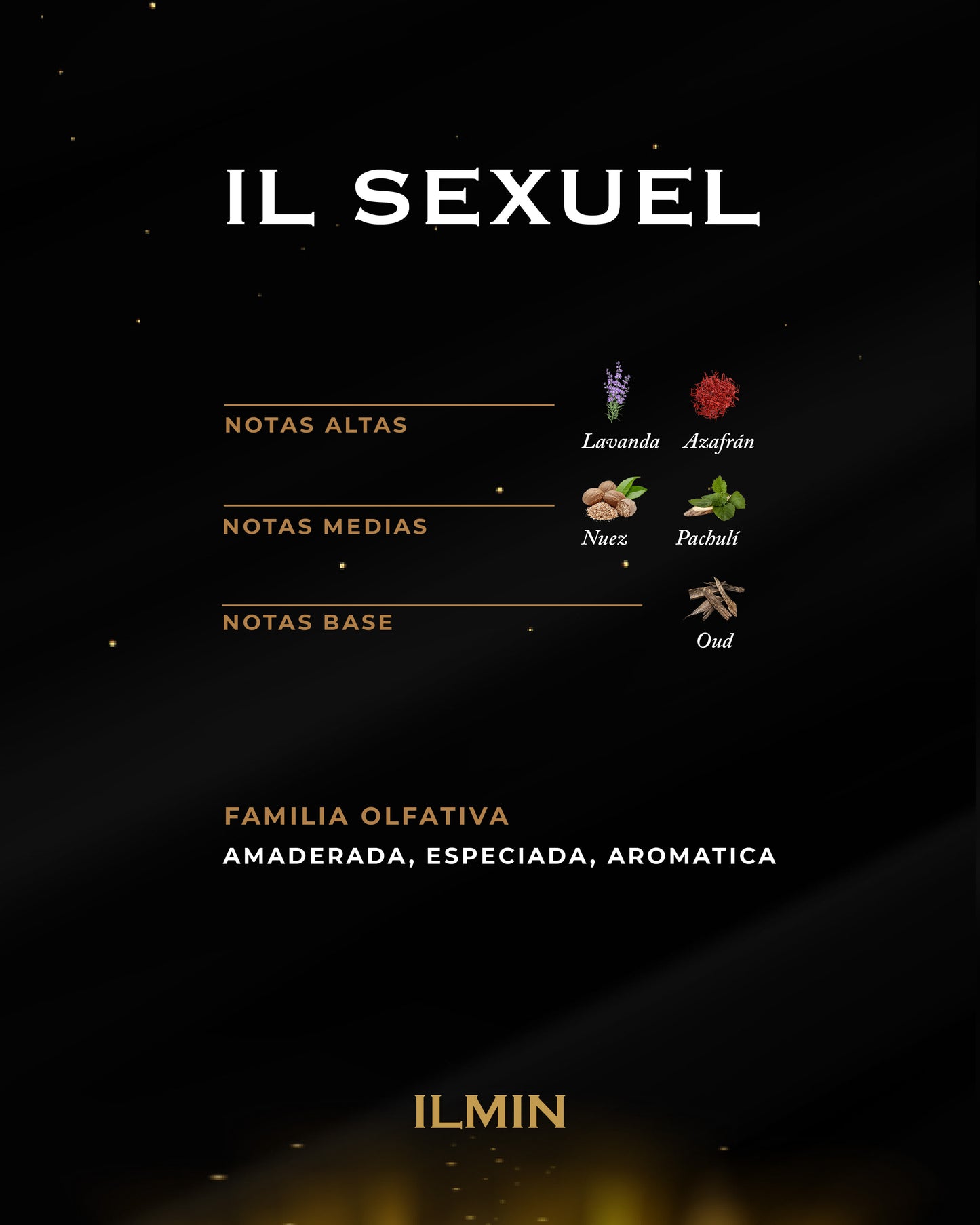 IL SEXUEL