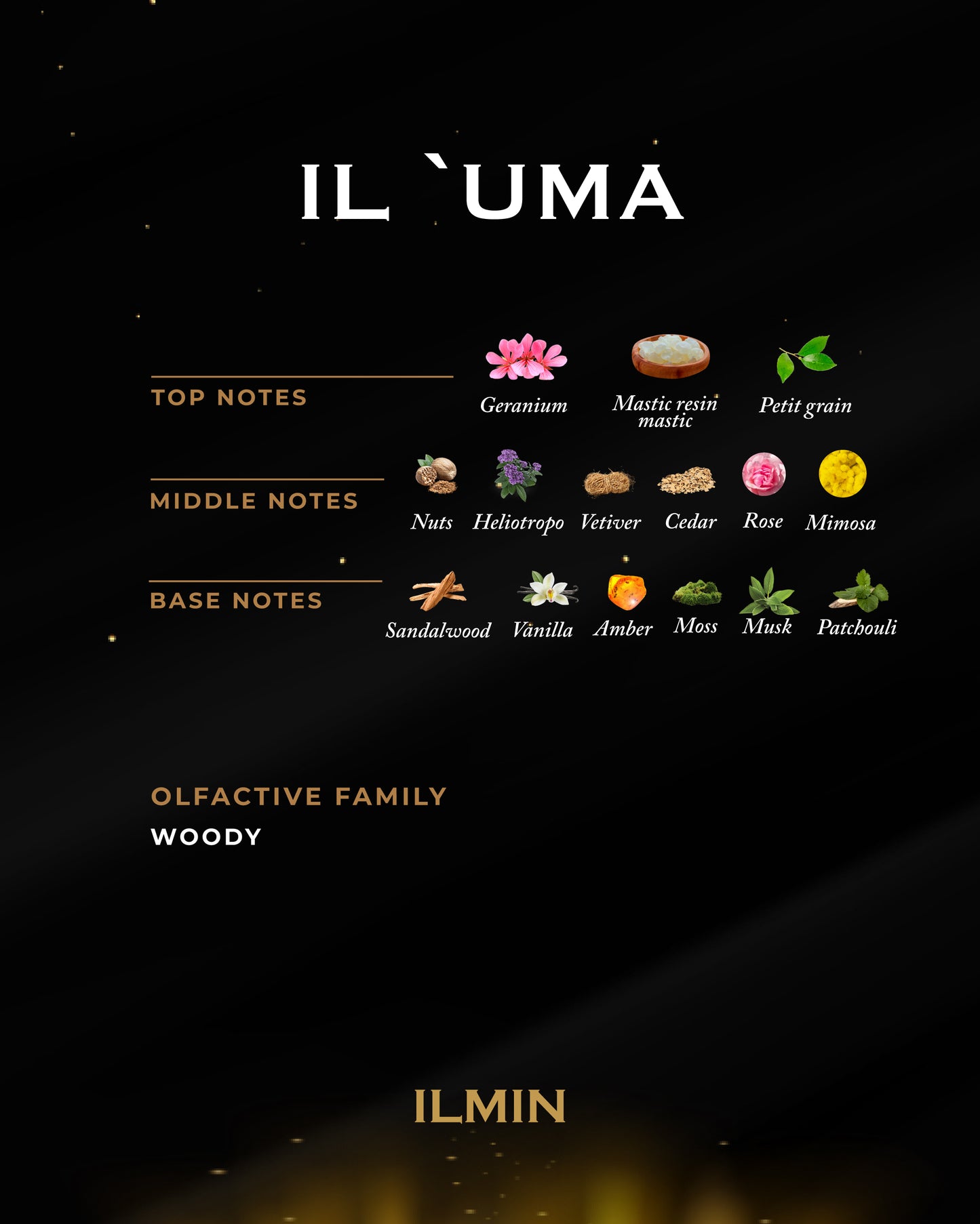 IL 'UMA